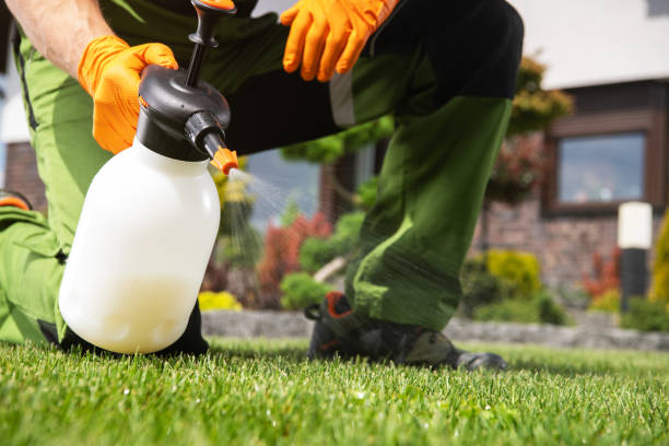 Best Best Pest Control Companies  in Steiner Ranch, TX