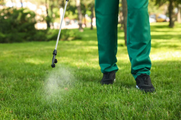 Flea Control Services in Steiner Ranch, TX