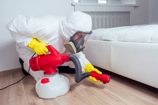 Best Local Pest Control Services  in Steiner Ranch, TX