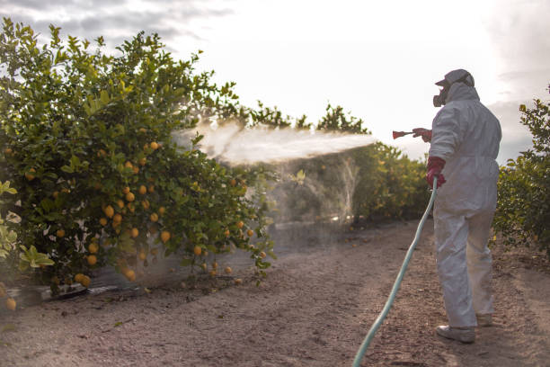 Best Affordable Pest Control Services  in Steiner Ranch, TX