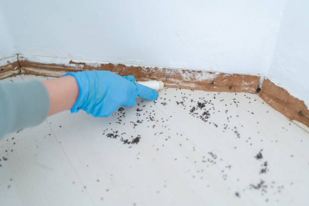 Steiner Ranch, TX Pest Control Company